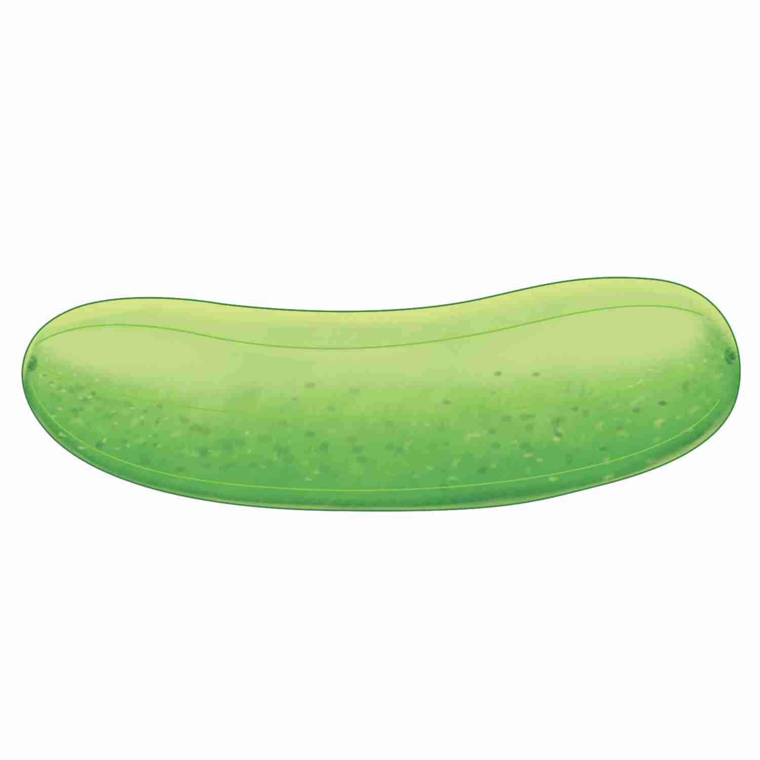 vector  Cucumber