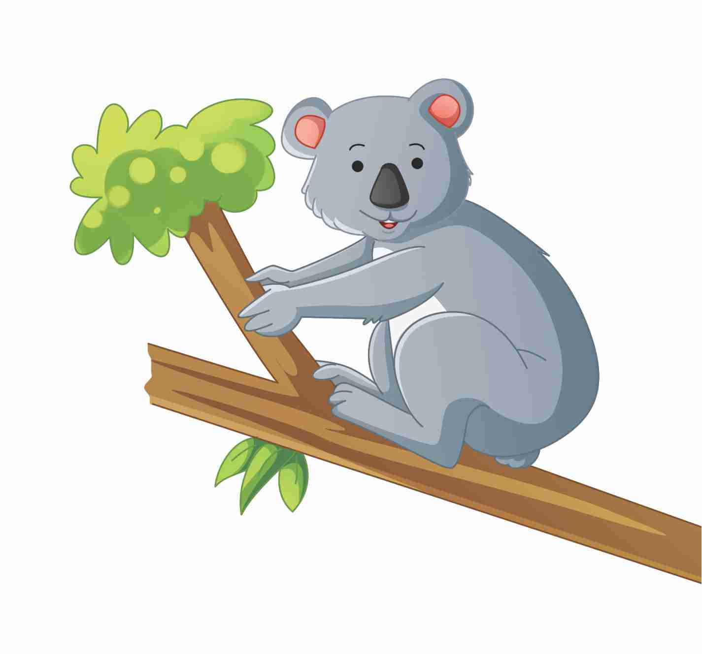 vector  Koala