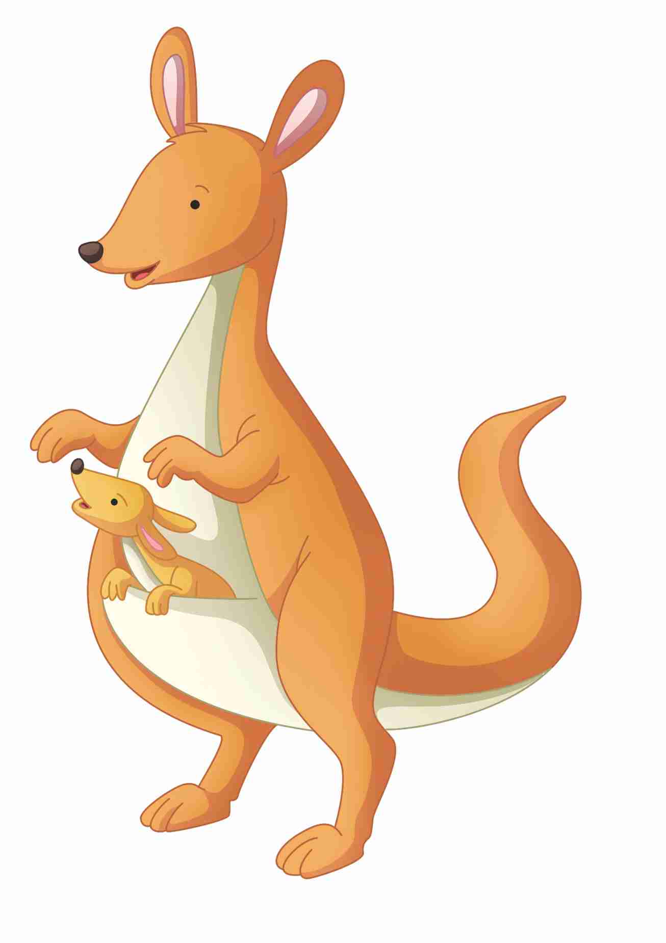 vector  Kangaroo