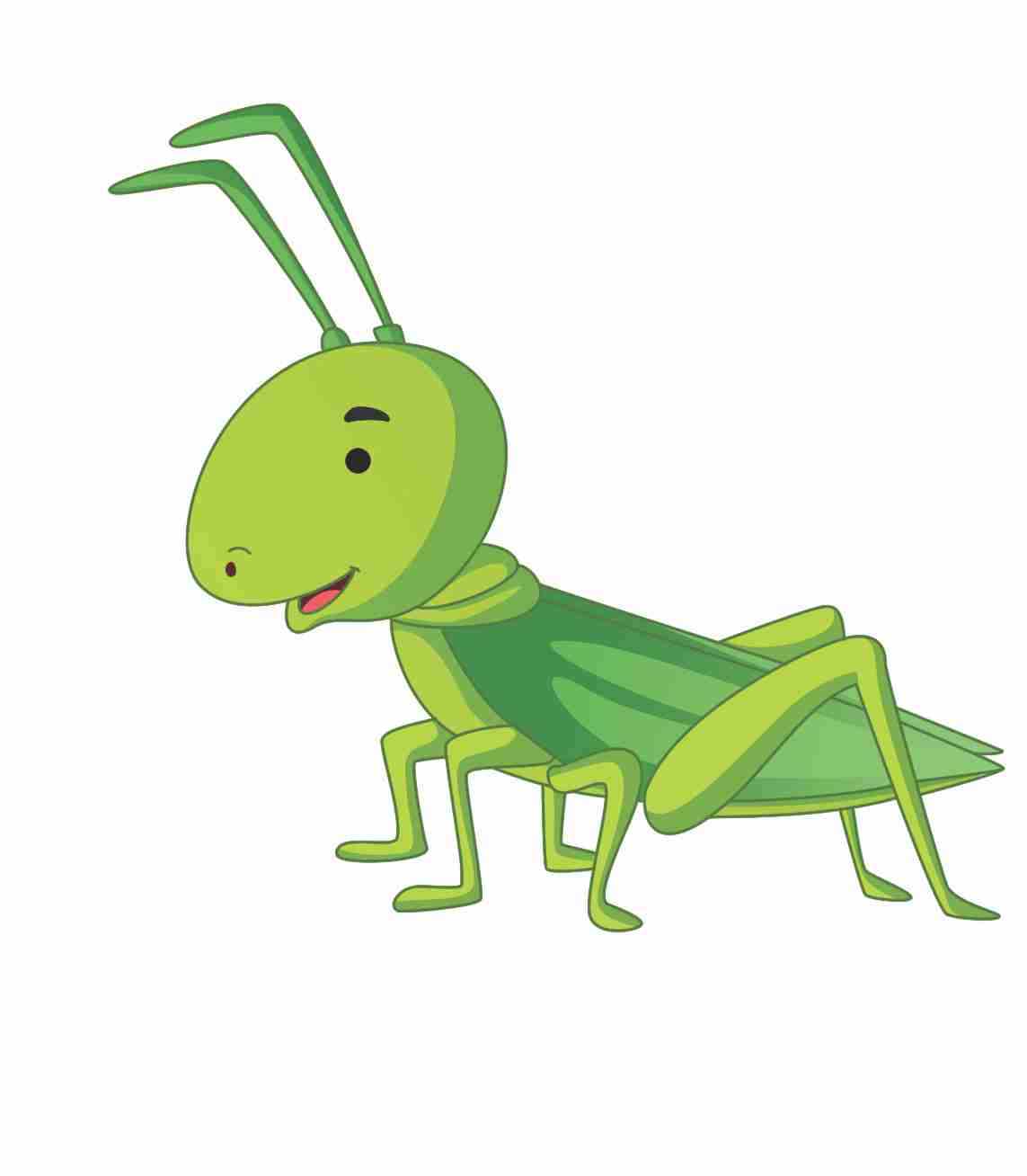 vector  Grasshopper